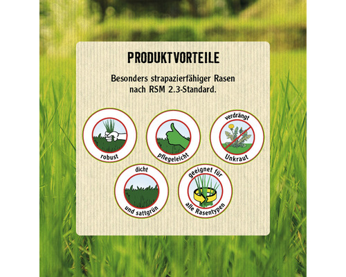 Slijtvaste graszoden FloraSelf Select RSM 2.3 10 kg / 500 m²