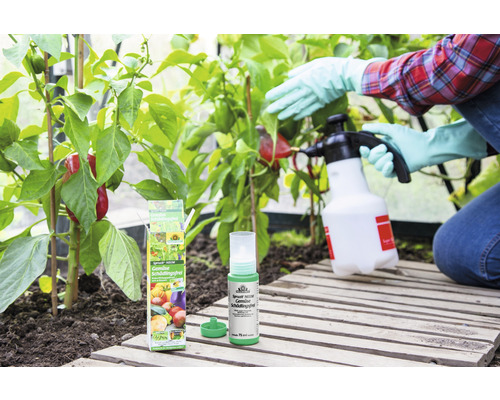Spruzit NEEM Groentebestrijding 75ml