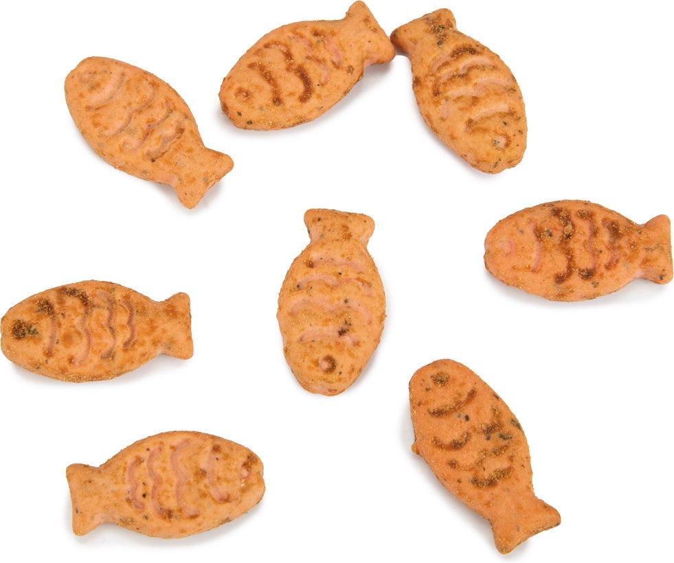 Beeztees kattensnack Catnip Cookies tonijn 55 g