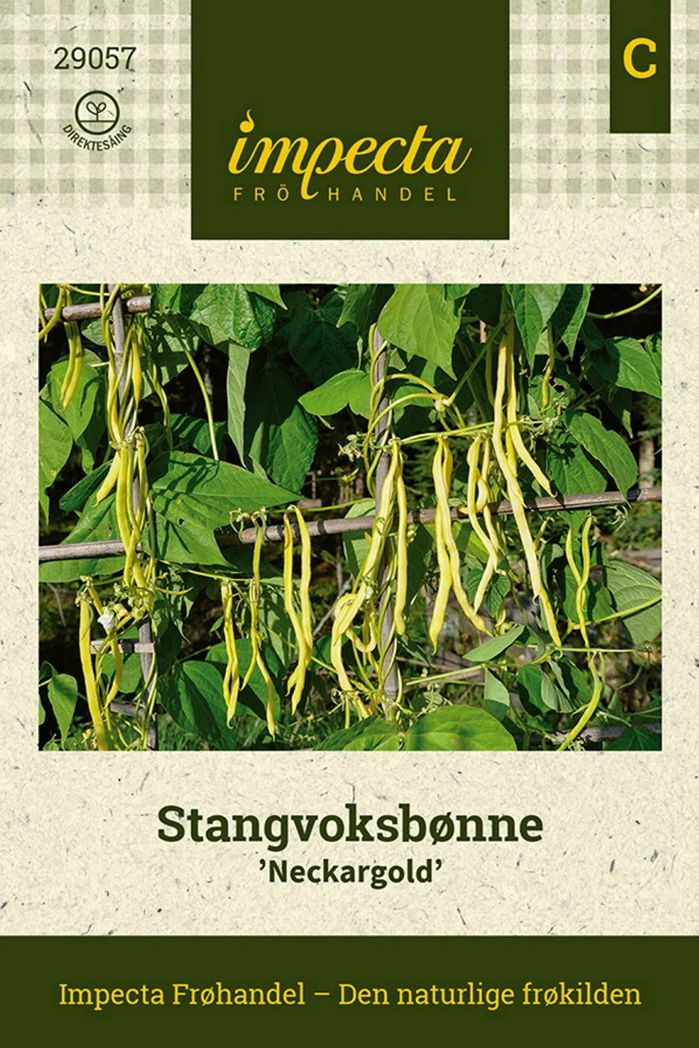 Phaseolus vulgaris 'Neckargold' Stangvoksbønne 'Neckargold'