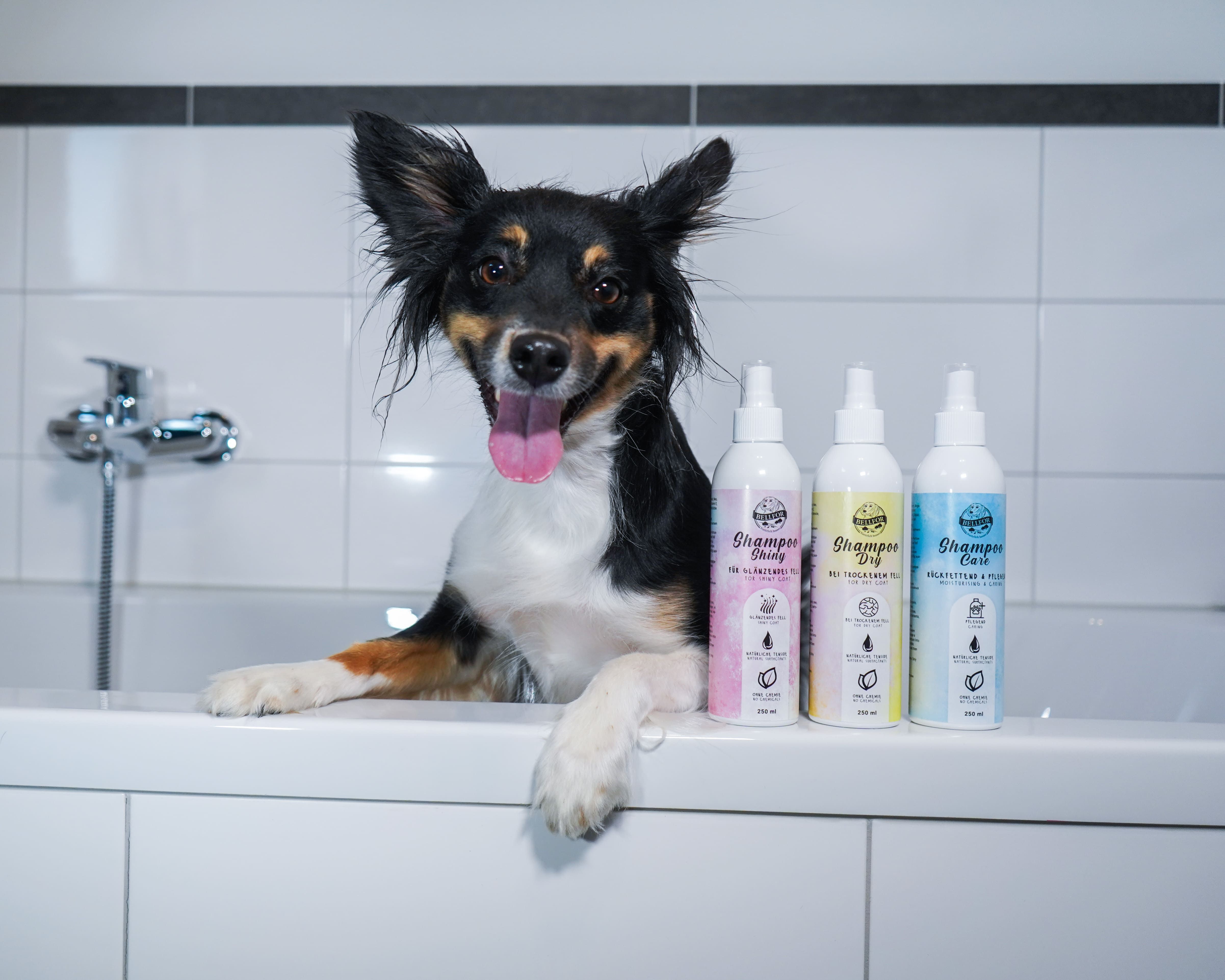 Bellfor Hundeshampoo Care von Bellfor