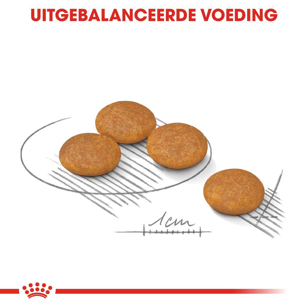 Royal Canin Dermacomfort Mini - Hondenvoer - 3 Kilogram - gevogelte