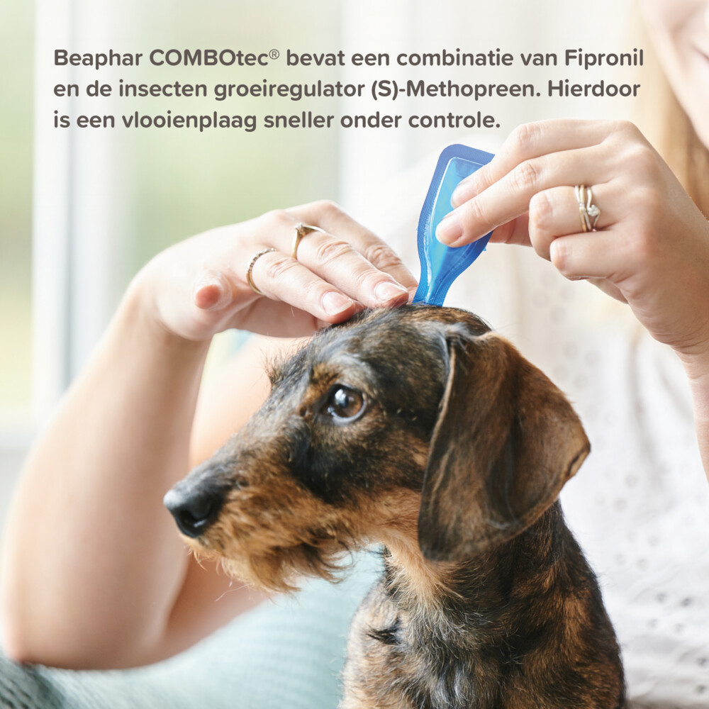 Beaphar Combotec Anti Teken- en Vlooiendruppels Hond 2-10 kg2 pipetten
