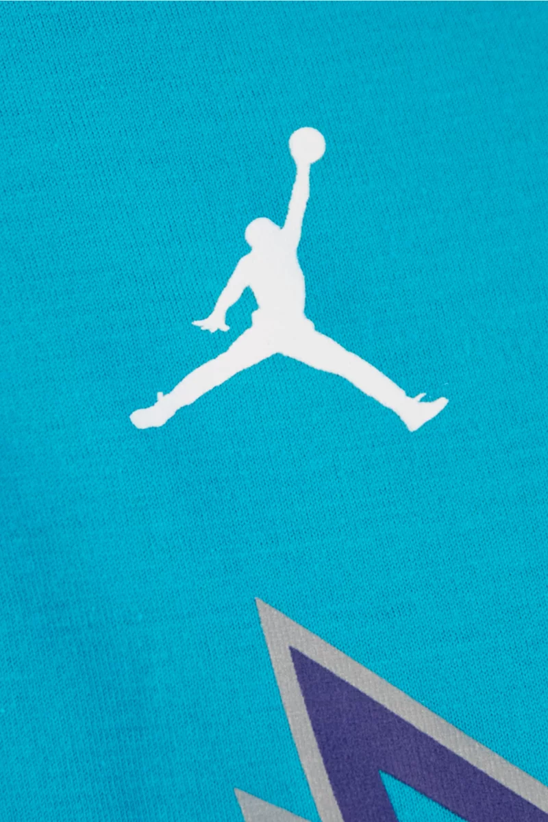 Nike Charlotte Hornets Herren T-Shirt
