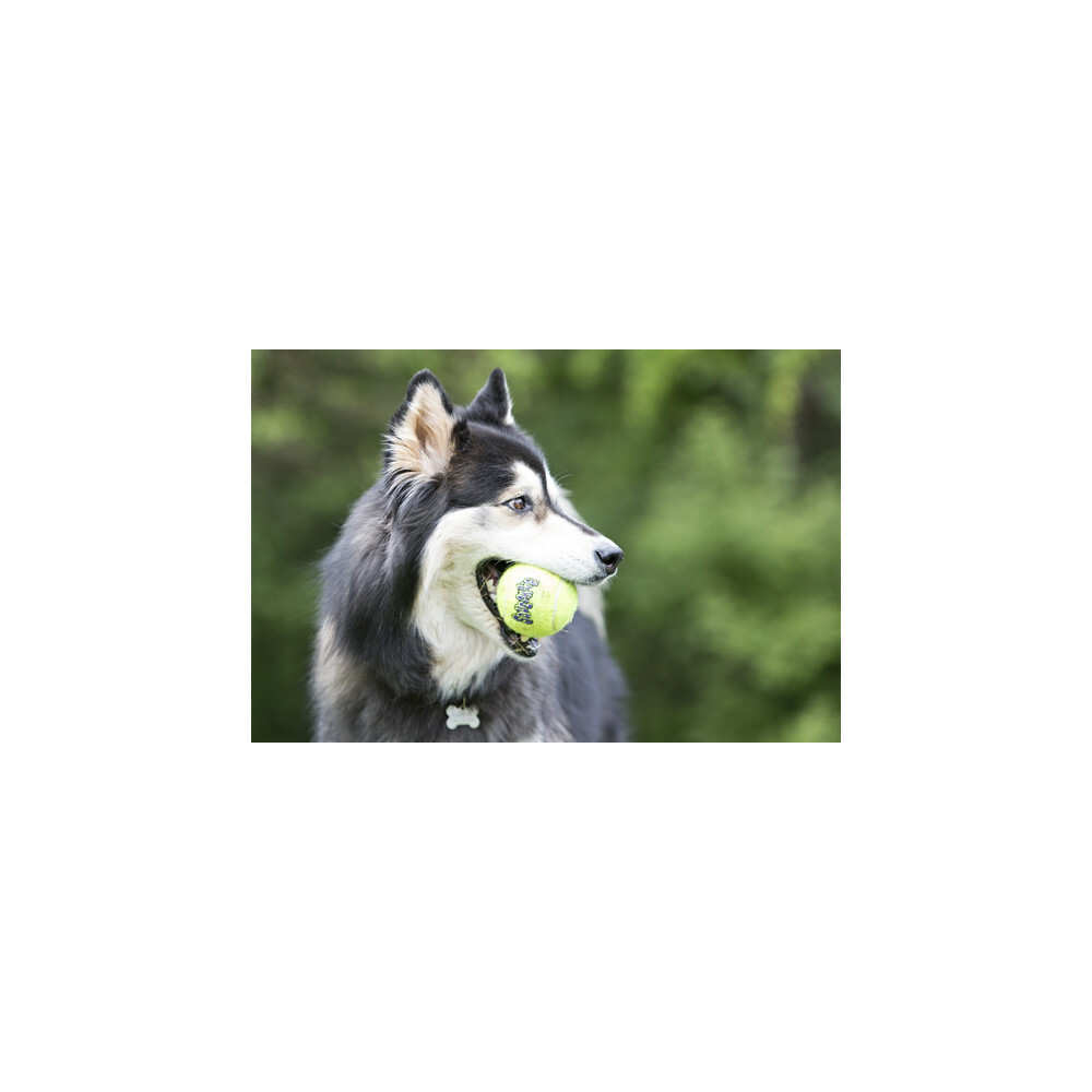 Kong Squeakair Tennisbal Multipack L2 stuks