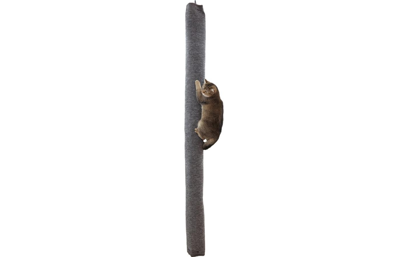 Kratzstamm Carpet 16 x 240 cm, GrauKletter- und Kratzsack für Katzen zur Befestigung an Decke