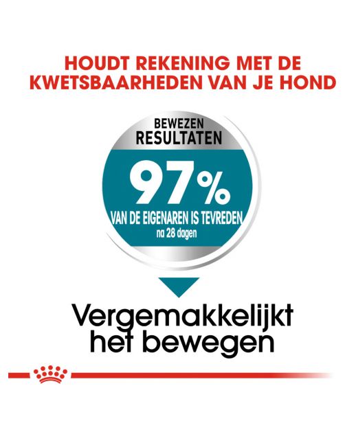 Royal Canin Joint Care Maxi - Hondenvoer - 10 kg