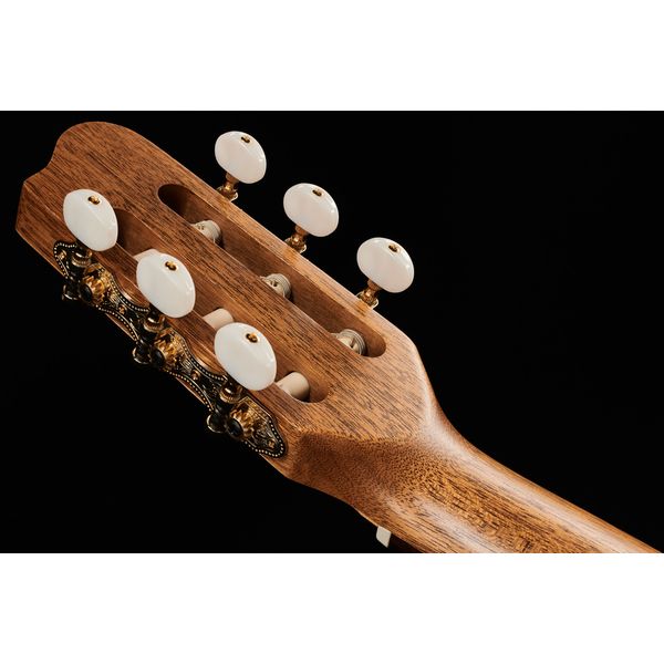 Godin Motif Classic