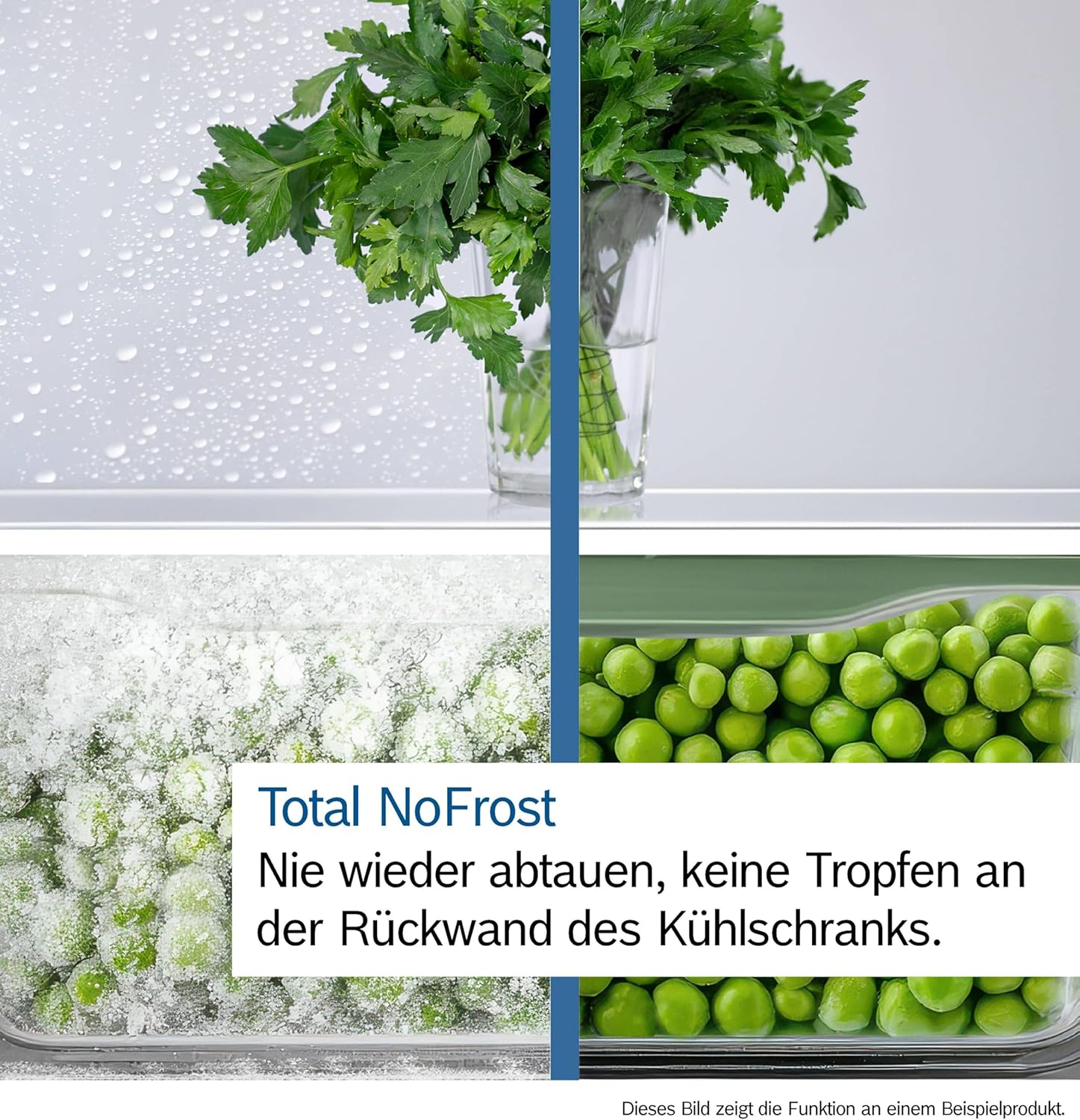 Bosch Kühl-Gefrier-Kobination 203 x 60 cm, Serie 4, KGN392LAG, 260 L Kühlen & 103 L Gefrieren, Total No Frost, längere Frische mit VitaFresh XXL, Extra leise, konstante Temperatur, Metall-Optik