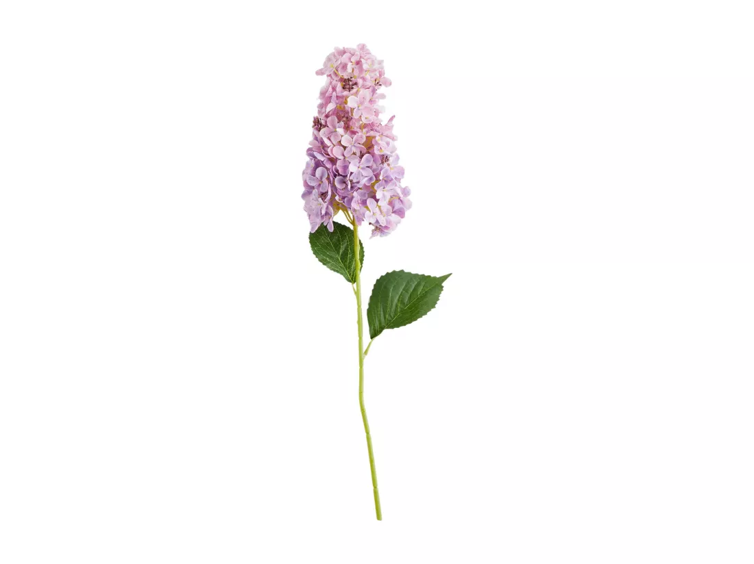 Fleur Hydrension rose pâle 8 x 8 x 60