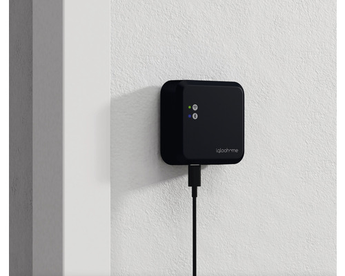 iglohome Wi-Fi-brug