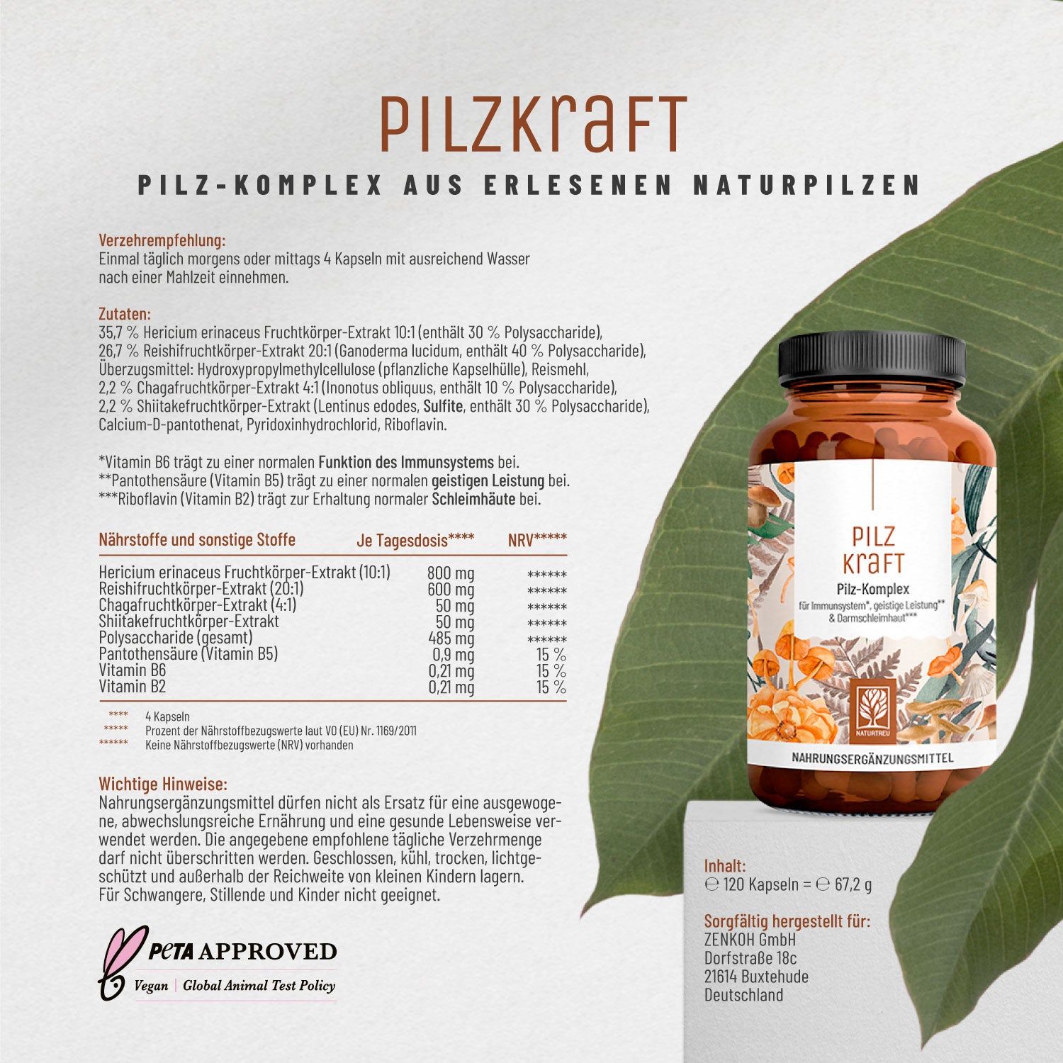 Pilz Komplex mit Hericium Erinaceus (Lions Mane), Reishi, Chaga & Shiitake- Pilzkraft - NATURTREU®