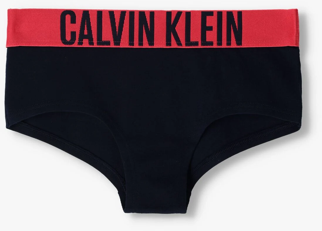 CALVIN KLEIN UNDERWEAR multi calvin klein underwear  2pk shorty