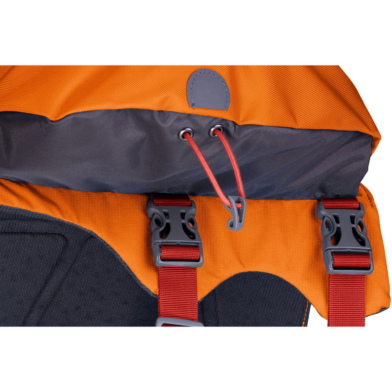 Ruffwear Approach Hunderucksack