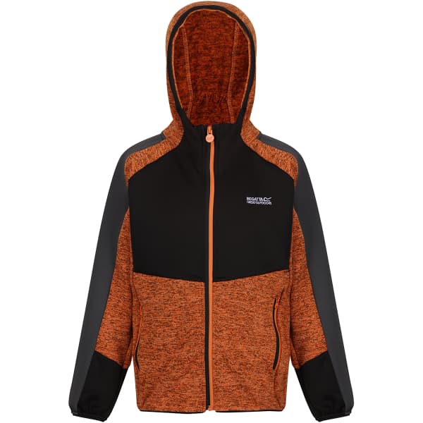 Veste polaire randonnée REGATTA DISSOLVER VI AUTUMN MPL/BLACK