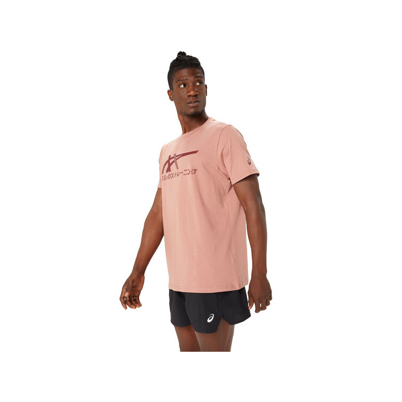 Tee-shirt Tiger Tee printemps Asics
