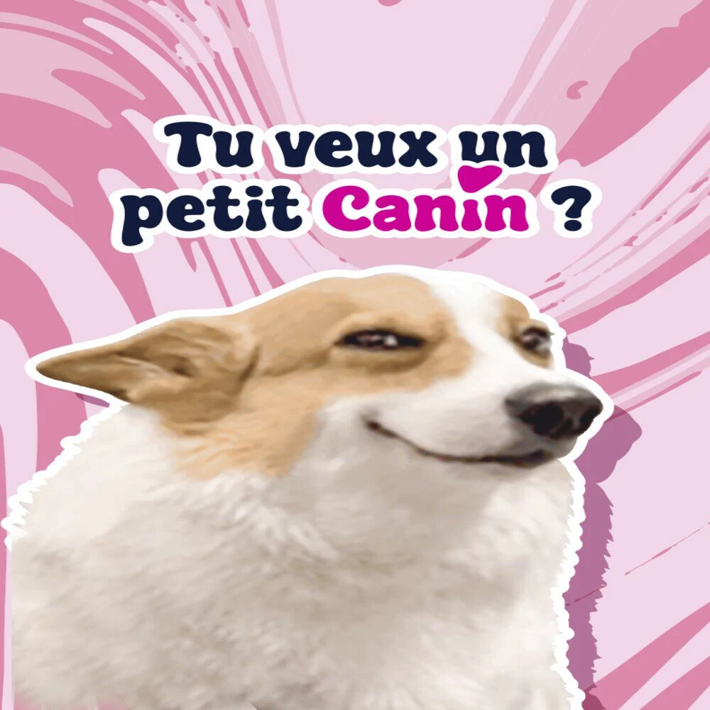 Parfum d'ambiance pour voiture senteur cerise