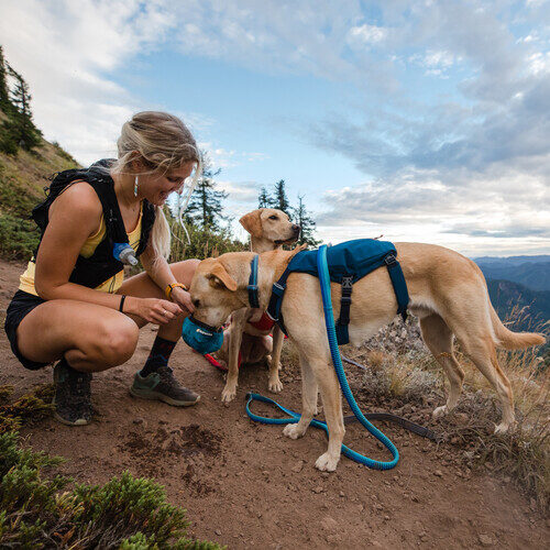 Ruffwear Roamer Leash
