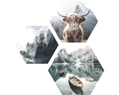 Hexagon schilderij Forest Lake Atmosphere set van 3 3x 45x45 cm