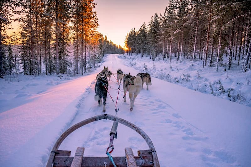 5 dagen naar Lapland incl. huskysafari