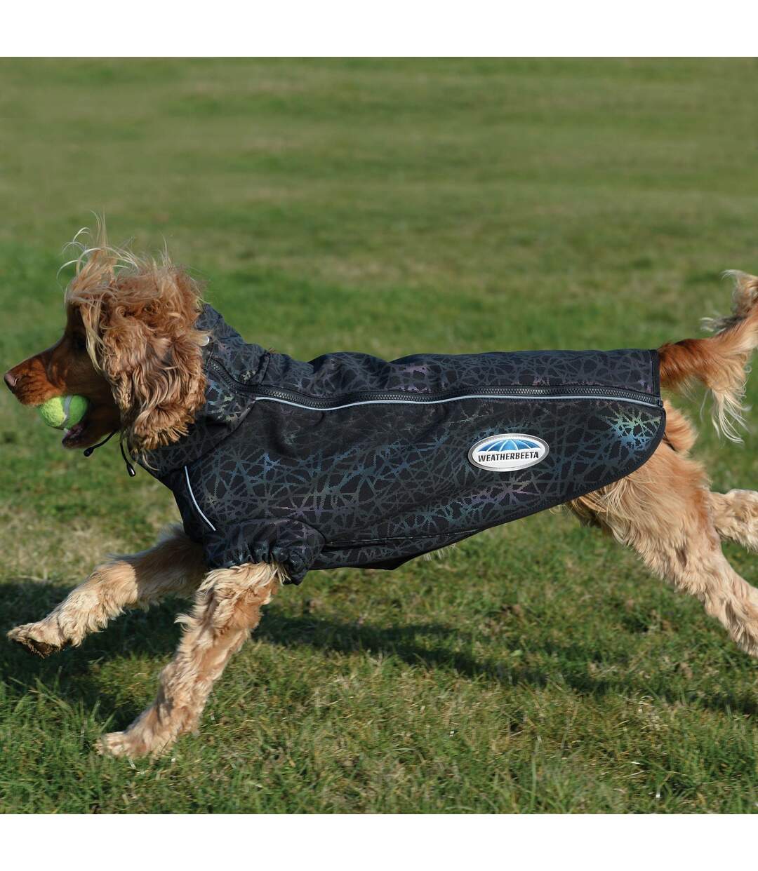 Weatherbeeta - Manteau pour chiens COMFITEC ACTIVE (Noir) (35 cm) - UTWB1986