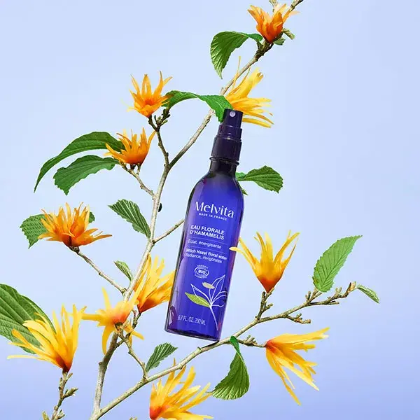 Água Floral Orgânica de Hamamélis Melvita 200ml