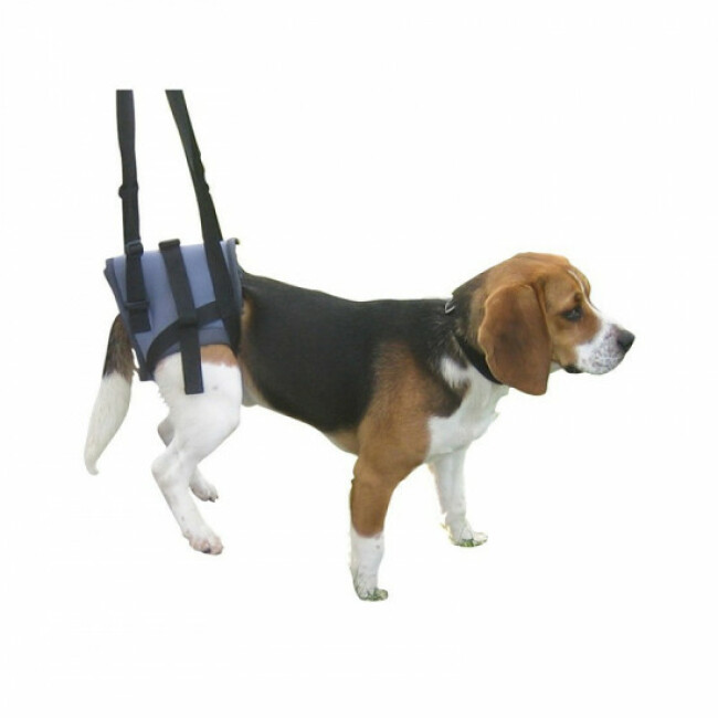 Baudrier postérieur de portage chien et chat handicapés Handy canis