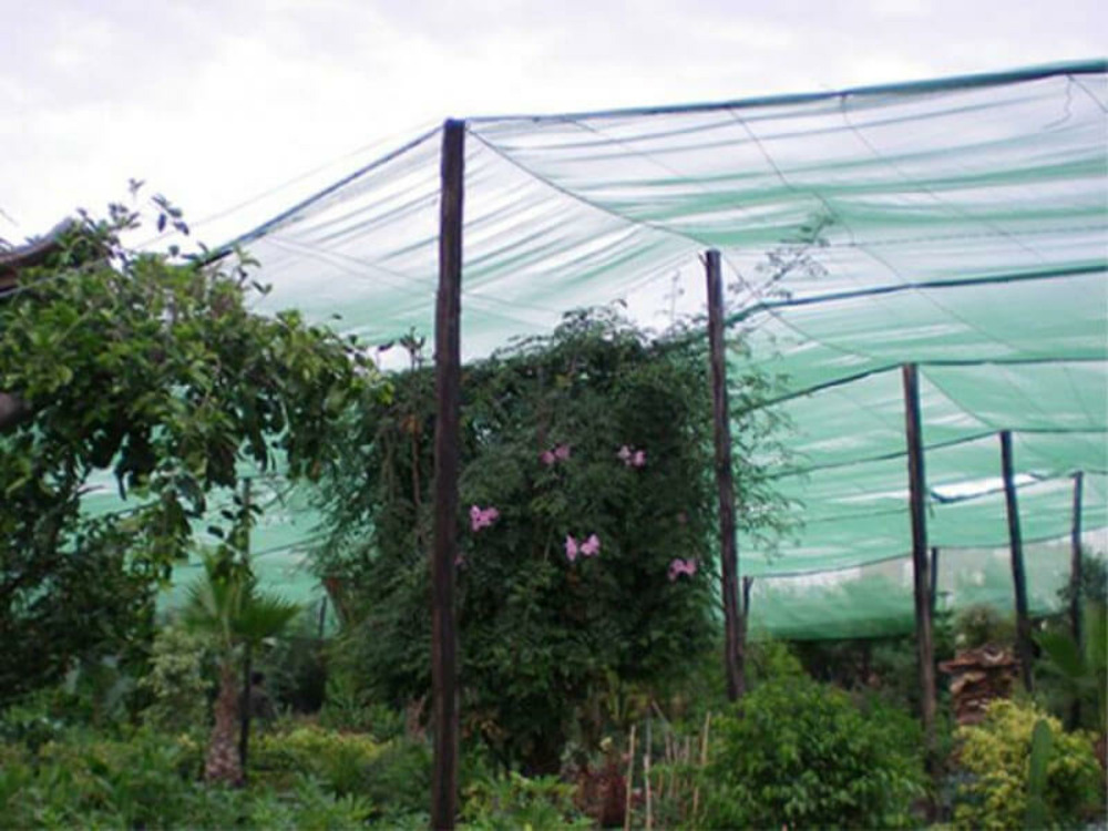Filet d'ombrage - 55% d'ombre vert/noir 2m x 20m