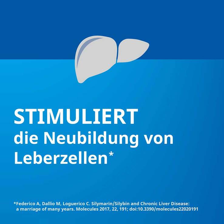 Silymarin STADA 109 mg Hartkapseln, 100 St