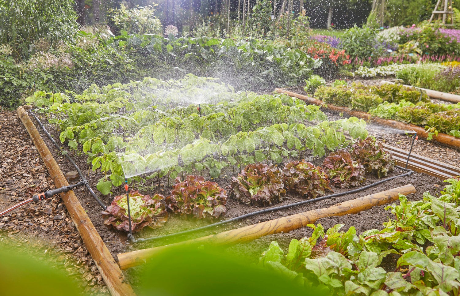 Gardena Micro Drip systeem druppelaar startset bloembedden en moestuinen 60 m²