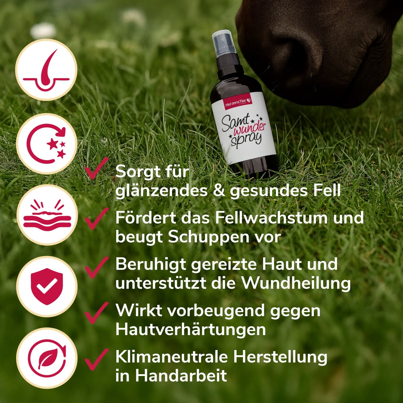 HerzensTier Samtwunderspray 100ml