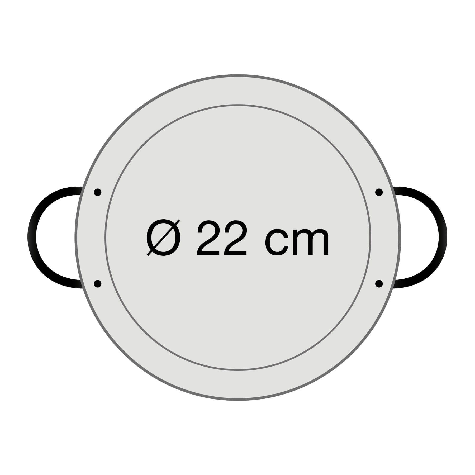 Original spanische Paelle Pfanne Typ 'Valencia' - leicht, Ø 22 cm, polierter Stahl, robust und preiswert: Ideal für Paella, Pfannen-/Reisgerichte