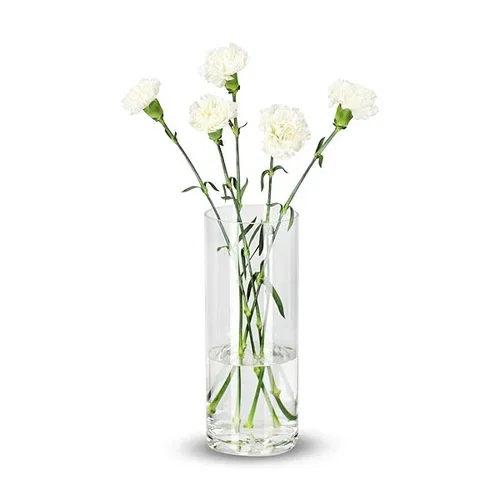 Nelliker 5pk Høyde 50 cm