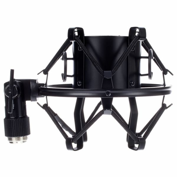 the t.bone SC600 Studio Grossmembran-Mikrofon