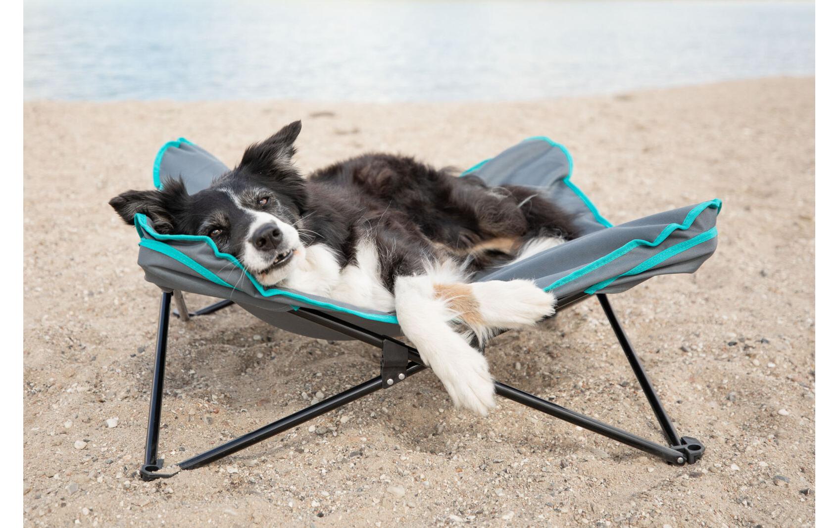 Camping-Bett, bis 35 kg, 88 x 32 cm, Dunkelgrau/PetrolBett für Hunde
