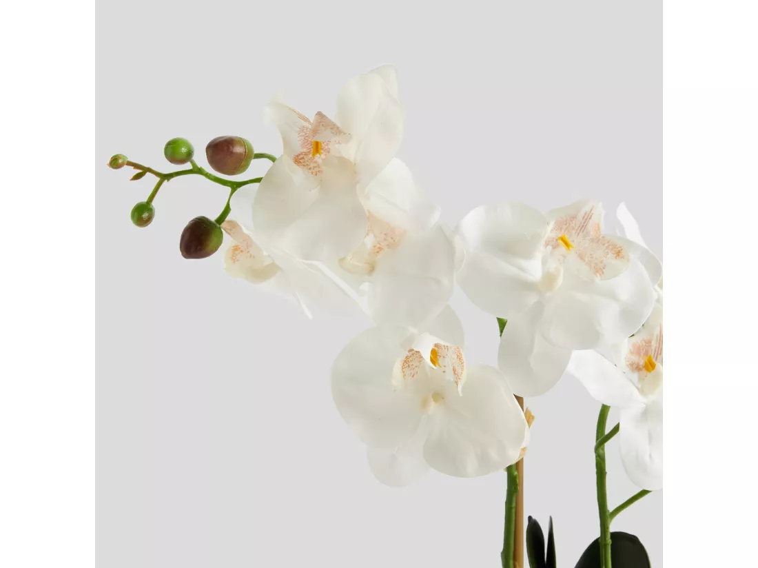 Composition Décorative Orchianis Blanc Moyen 56 x 47 x 14