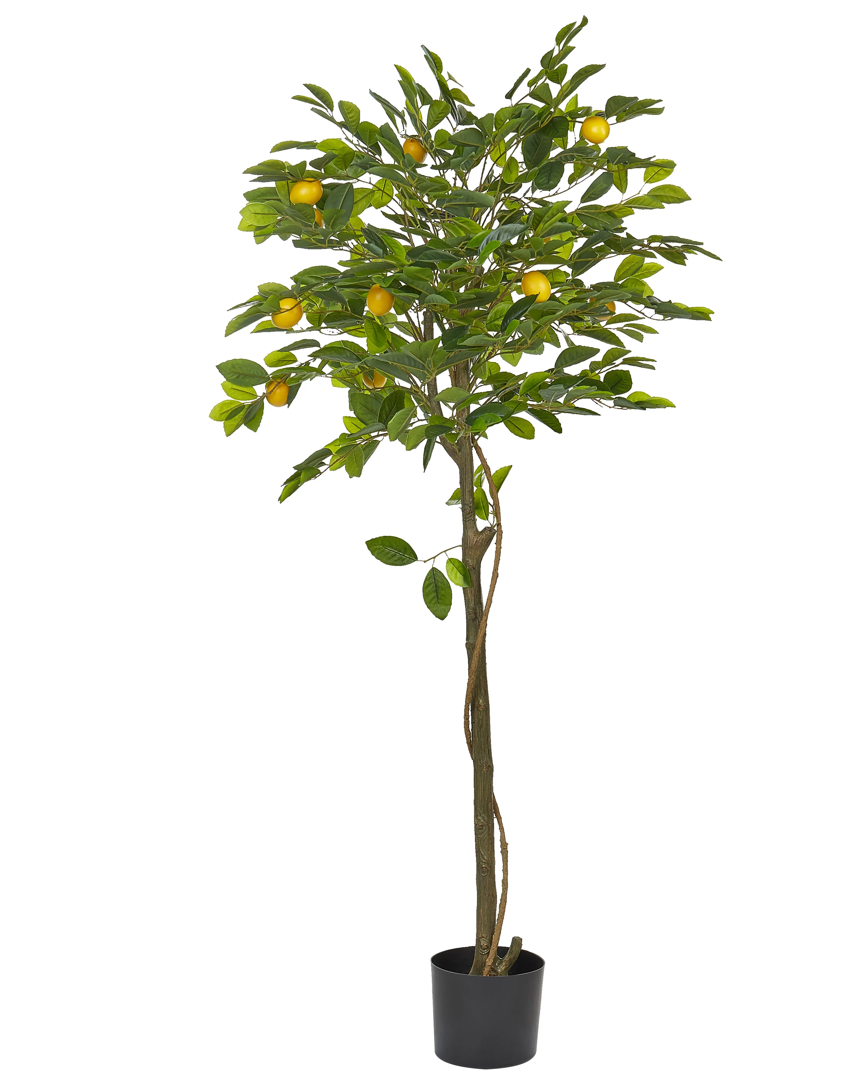 Kunstplant LEMON TREE 156 cm Groen