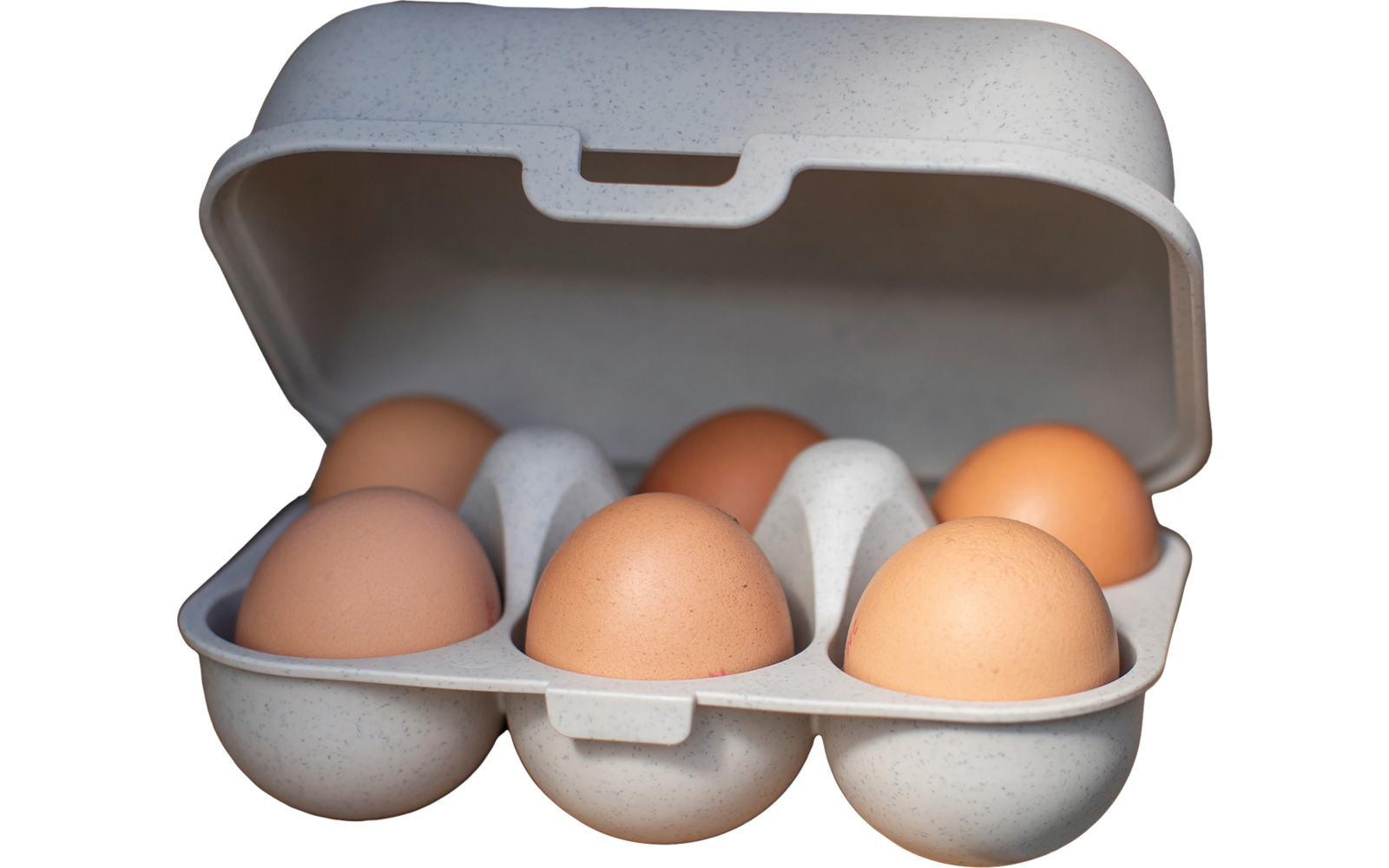 Koziol Eggs to go mini Eierbox für 6 Eier ash grey