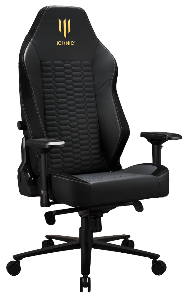 Apollon Classic / Gold Top Black seat + Gold logo