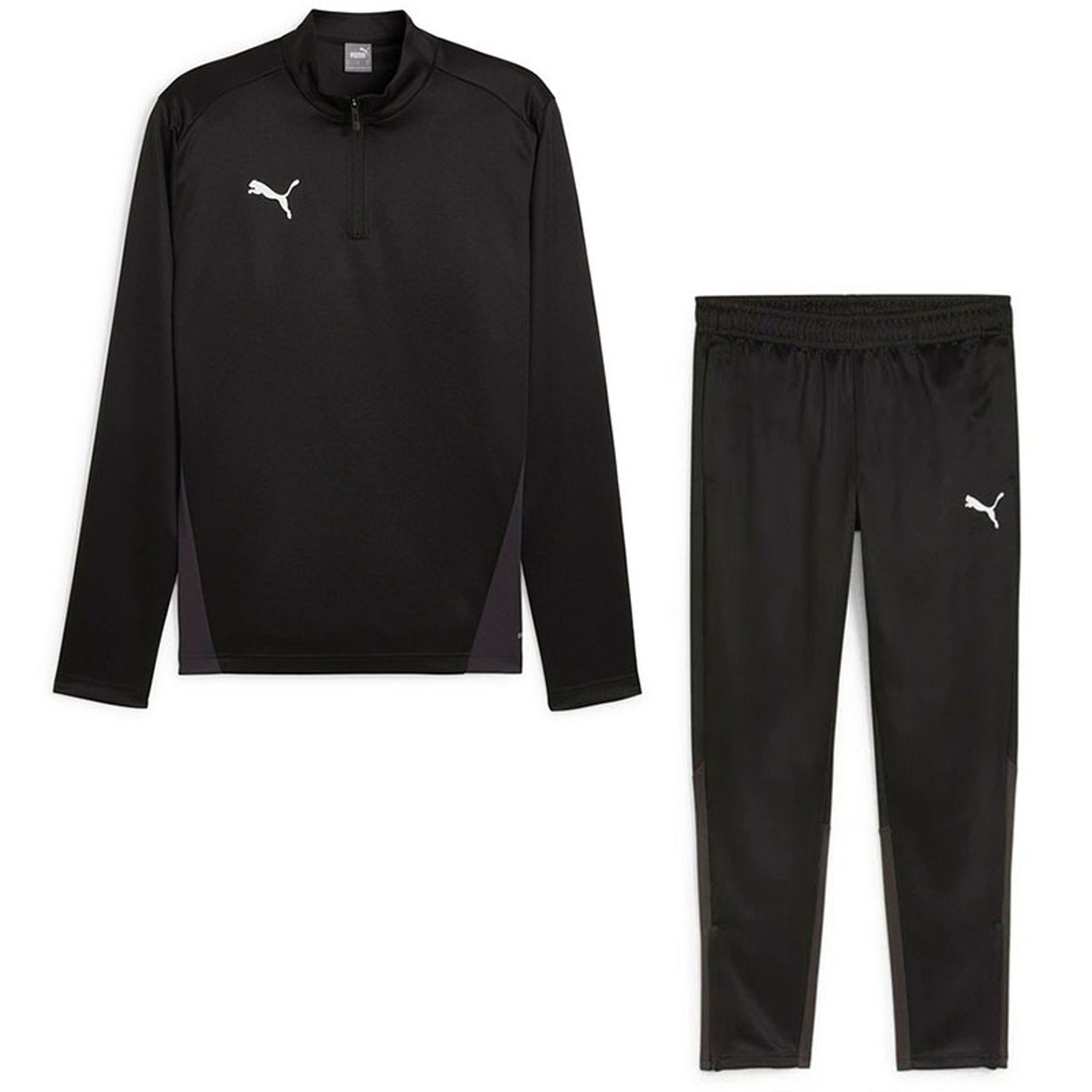 Puma GOAL Trainingspak