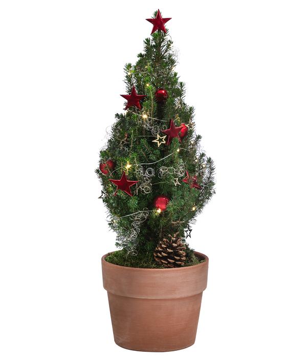 Geschmückter Weihnachtsbaum Terra, mit