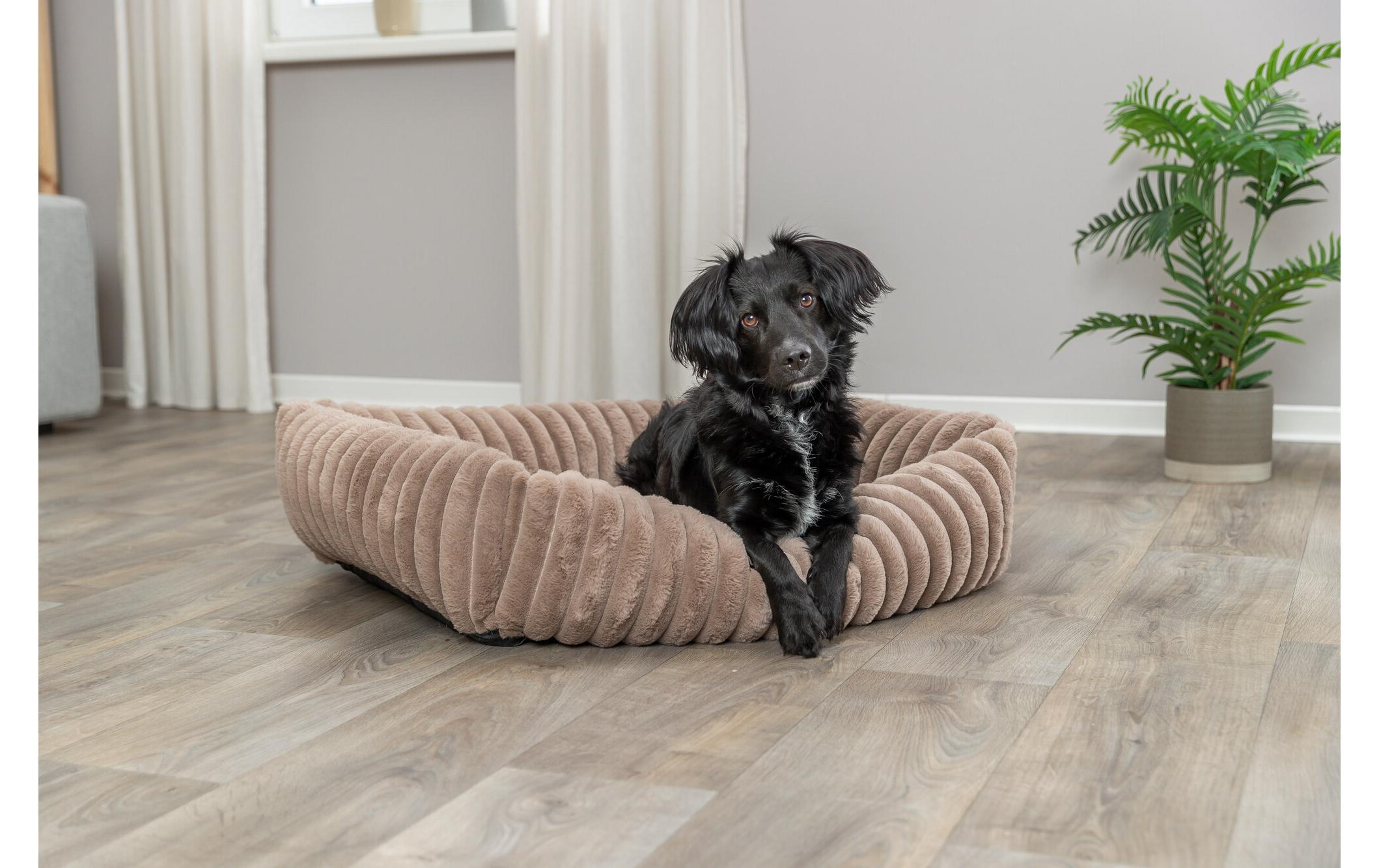 Hunde-Bett Lonni Hellbraun, 80 cm x 60 cmHundeschlafplatz