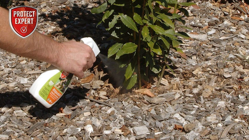 Repul500 | répulsif chats et chiens liquide | 500ml | prêt-à-l'emploi