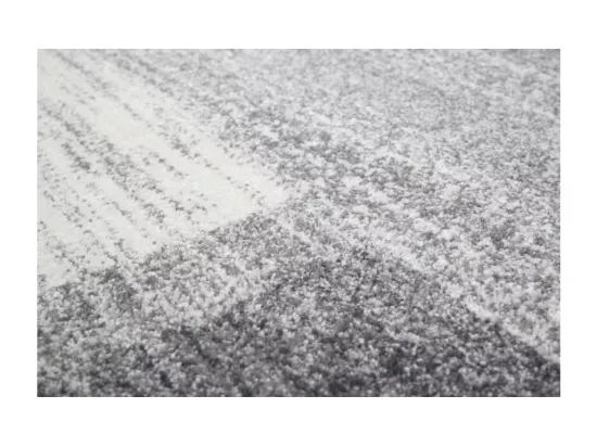 Tapis 290x200cm, design F005G coloris argent - Confort et élégance pour votre intérieur