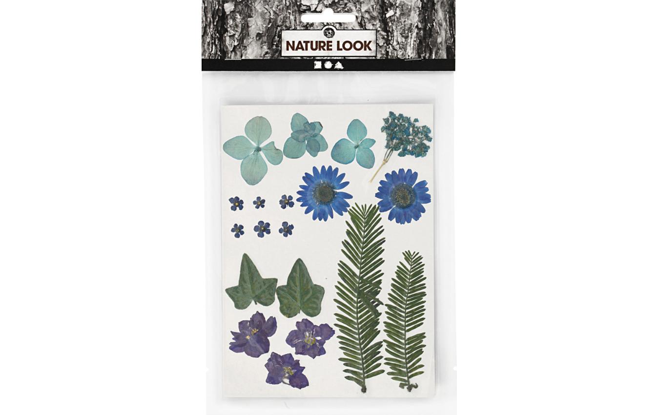Streudeko Gepresste Blüten und Blätter, Blau, 19 sort.Blumen zum Streuen
