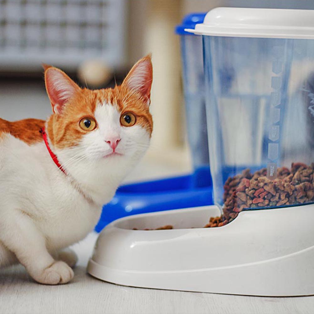 Ferplast distributeur de nourriture sèche, croquettes pour chats et chiens 3 litres zenith mangeoire pratique, distributeur de