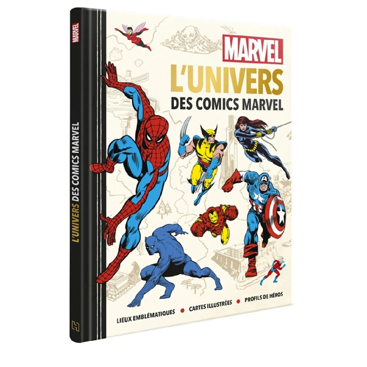 L'univers des comics Marvel : lieux emblématiques, cartes illustrées, profils de héros