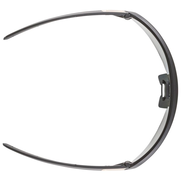 Alpina - Turbo Pro QV Mirror Photochromic S1-3 - Lunettes vélo
