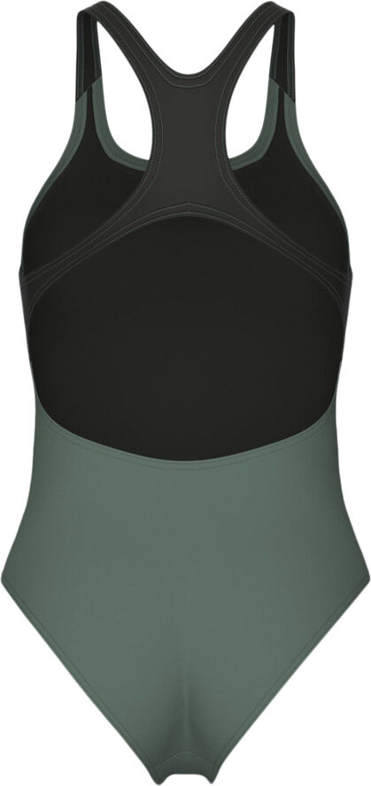 Arena Stripe Badedragt Grøn