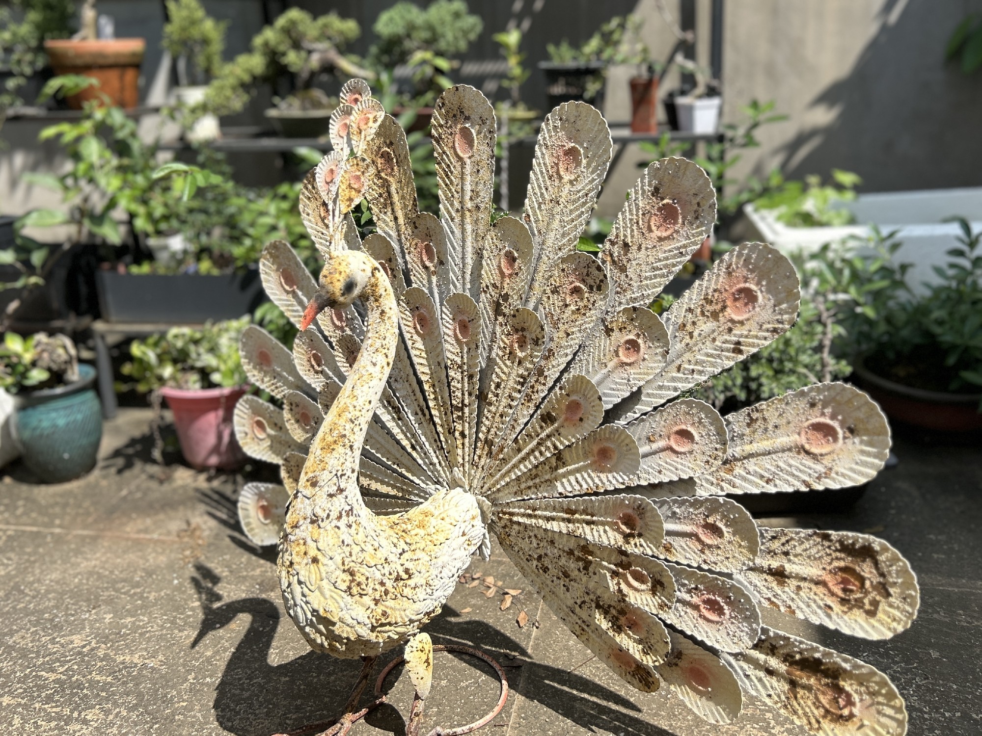 Metall-Skulptur 'Pfau', B 79 cm, T 24 cm, H 55 cm günstig bestellen